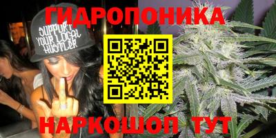 гашиш Заводоуковск