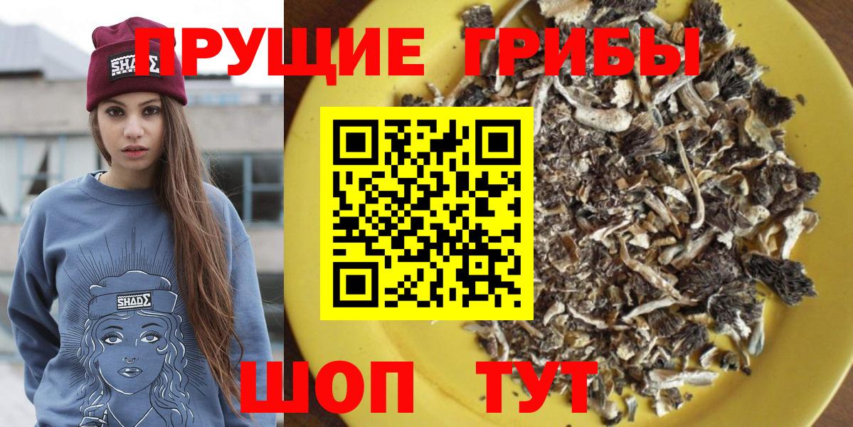 Галлюциногенные грибы Psilocybine cubensis Лангепас