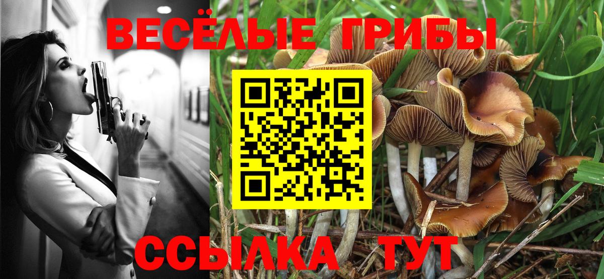 Лангепас  Галлюциногенные грибы Psilocybine cubensis  Псилоцибиновые грибы Cubensis  Вход с VPN 